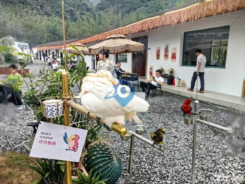 【旗山脚下的田园梦】旗山农旅休闲度假空间伙伴邀请